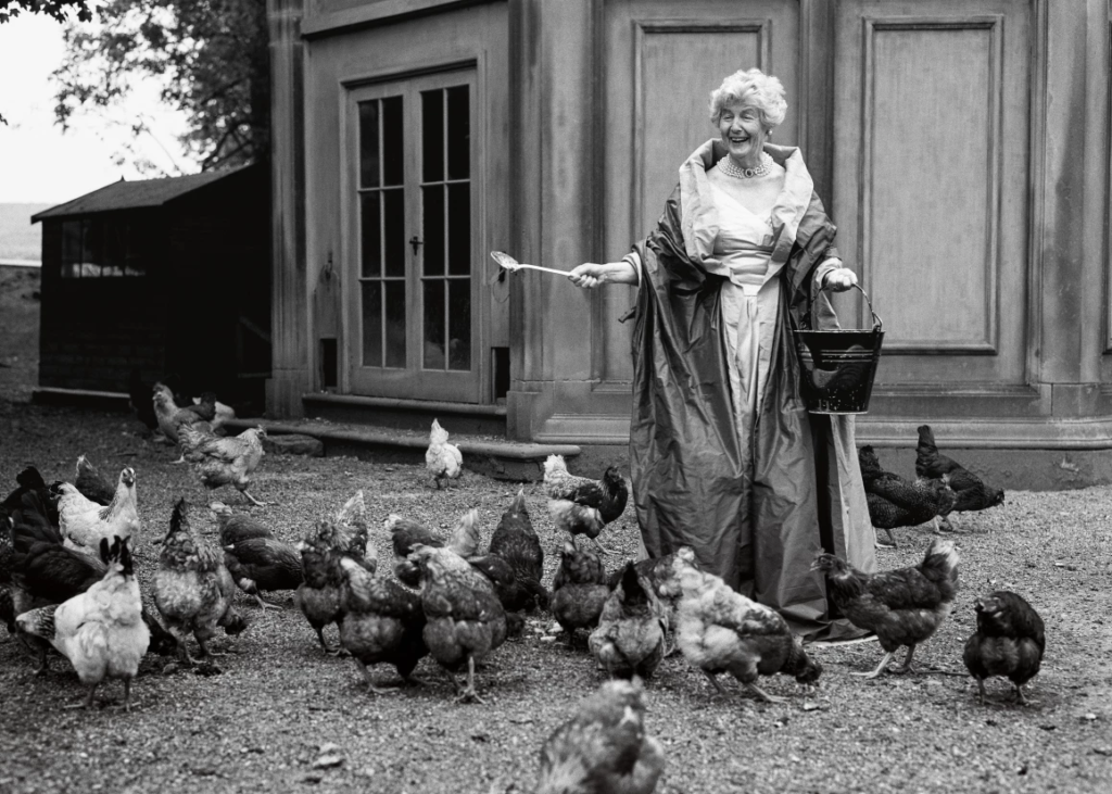 Unknown photographer The Dowager Duchess of Manchester, photographed at the family estate — dressed for a state dinner, feeding chickens, entirely unconcerned.